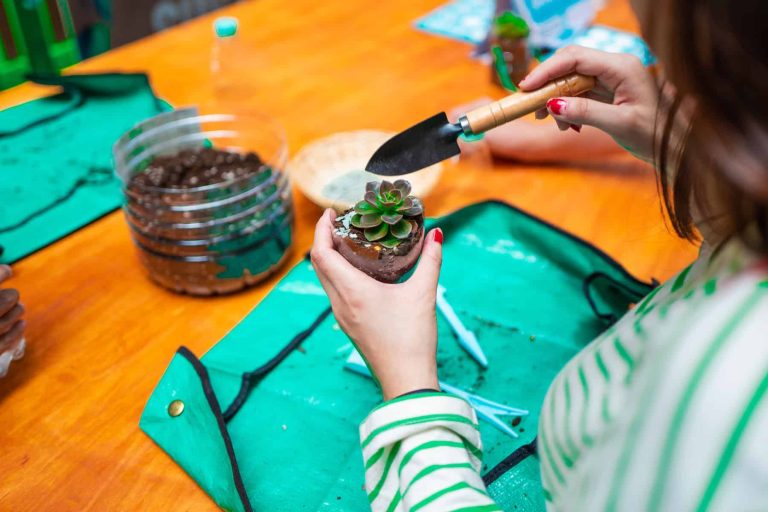 diy recycling plastic used water bottles