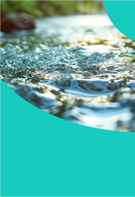 Flow With Joy | Meaningful Everyday Moments With Spritzer®