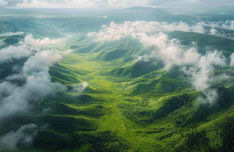 The Amazing Benefits of Silica Mineral